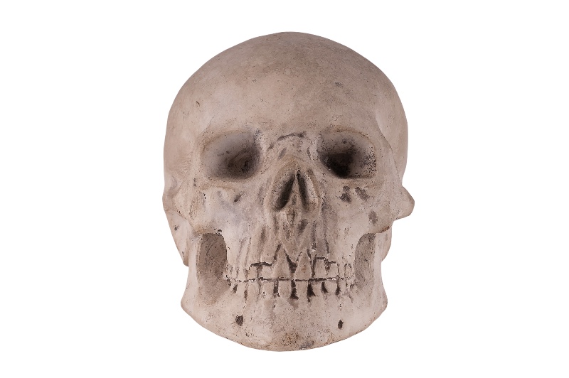 https://www.vienna-antique.at/wp-content/uploads/2021/02/Memento-Mori-Totenkopf-Skull-1.jpg