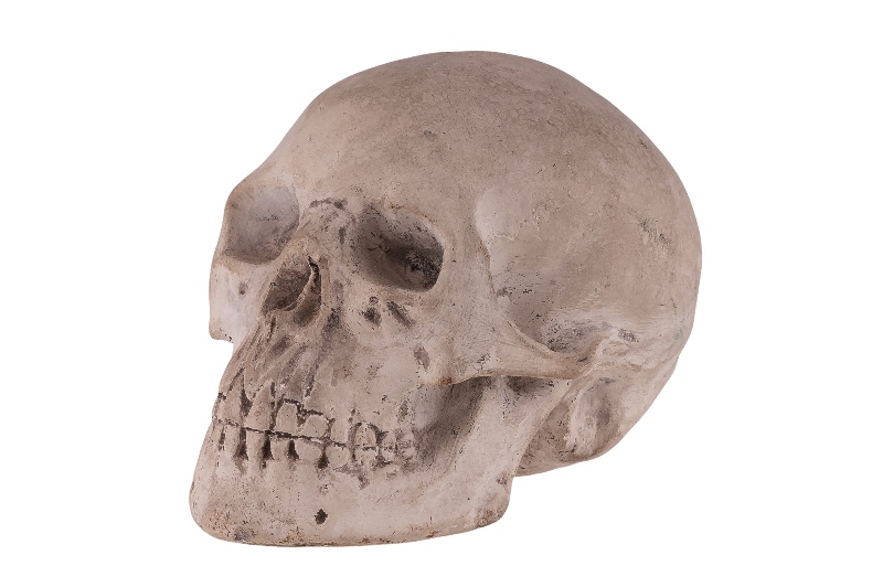 Memento Mori Totenkopf Skull